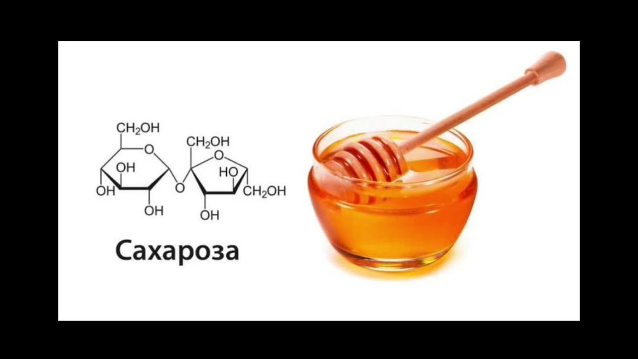 Моносахариды нахождение в природе. Фруктоза в меде. Фруктоза мед. Фруктоза мед. Сахароза геншин импакт импакт.