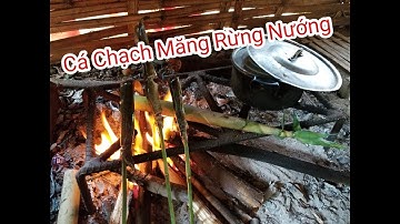 Câu cá chạch lấu và nướng luôn bên suối để thưởng thức | NHỊP SỐNG MIỀN TRUNG