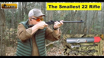 Cover Image for The Smallest 22 Survival Rifle : Chiappa Little Badger TDX
