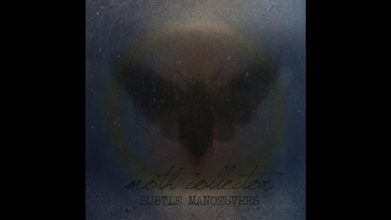 Moth Collector - Feed