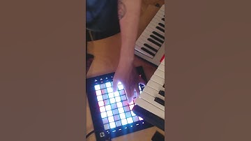 The @NovationTV Launchpad providing the lush leads #shorts #livelooping #launchpad