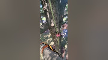 Adding a Back up to your Climbing Line