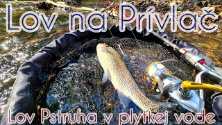 Lov na Prívlač/Lov Pstruha/Lov na plytkom potoku/#spinning #trout