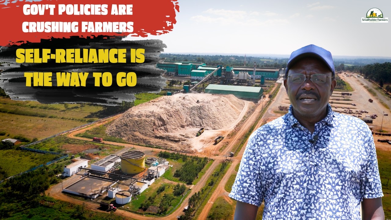 Dr. Mukhisa Kituyi Farming Insights: How I manage coffee, sugarcane, and fish farming