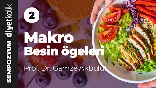 Makro Besin Öğeleri - Prof. Dr. Gamze Akbulut screenshot 1