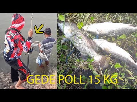 Mancing Pelak Di