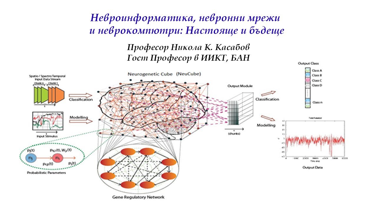 ЛЕКЦИЯ: Невроинформатика, невронни мрежи и неврокомпютри: Настояще и ...