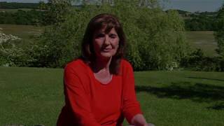 Anne Nolan A DIFFERENT KIND OF COURAGE  excerpt