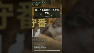 猫のお留守番が落ち着く35秒BGM #Shorts / 35s Calming Music for Cats Home Alone #Shorts