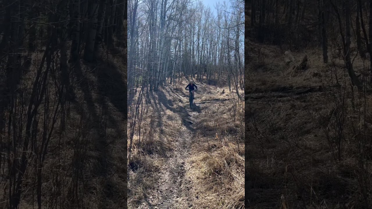 Calgary Mountain Biking 