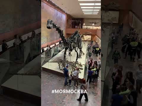 Vídeo: Dinossauros nos museus de Moscou: o que, onde e quando