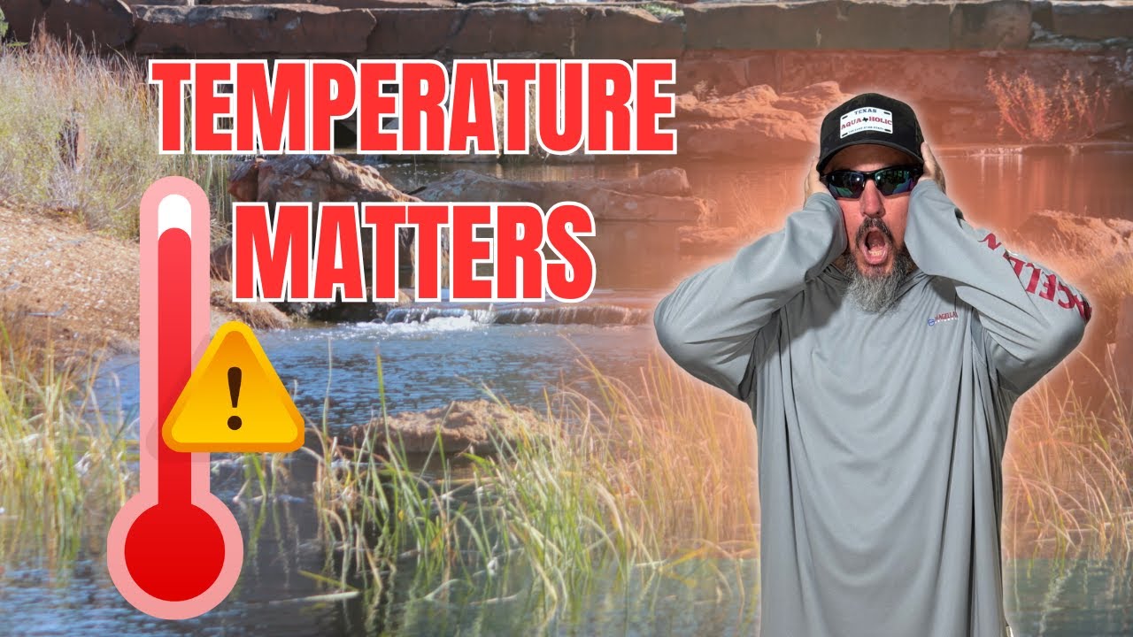 Hot Weather Bass Fishing Made Simple  – Start Catching Today