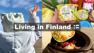 Cozy Daily Life in Finland Vlog | Easy Home Cooking Recipe | Grocery Haul | Slow Living, Silent Vlog