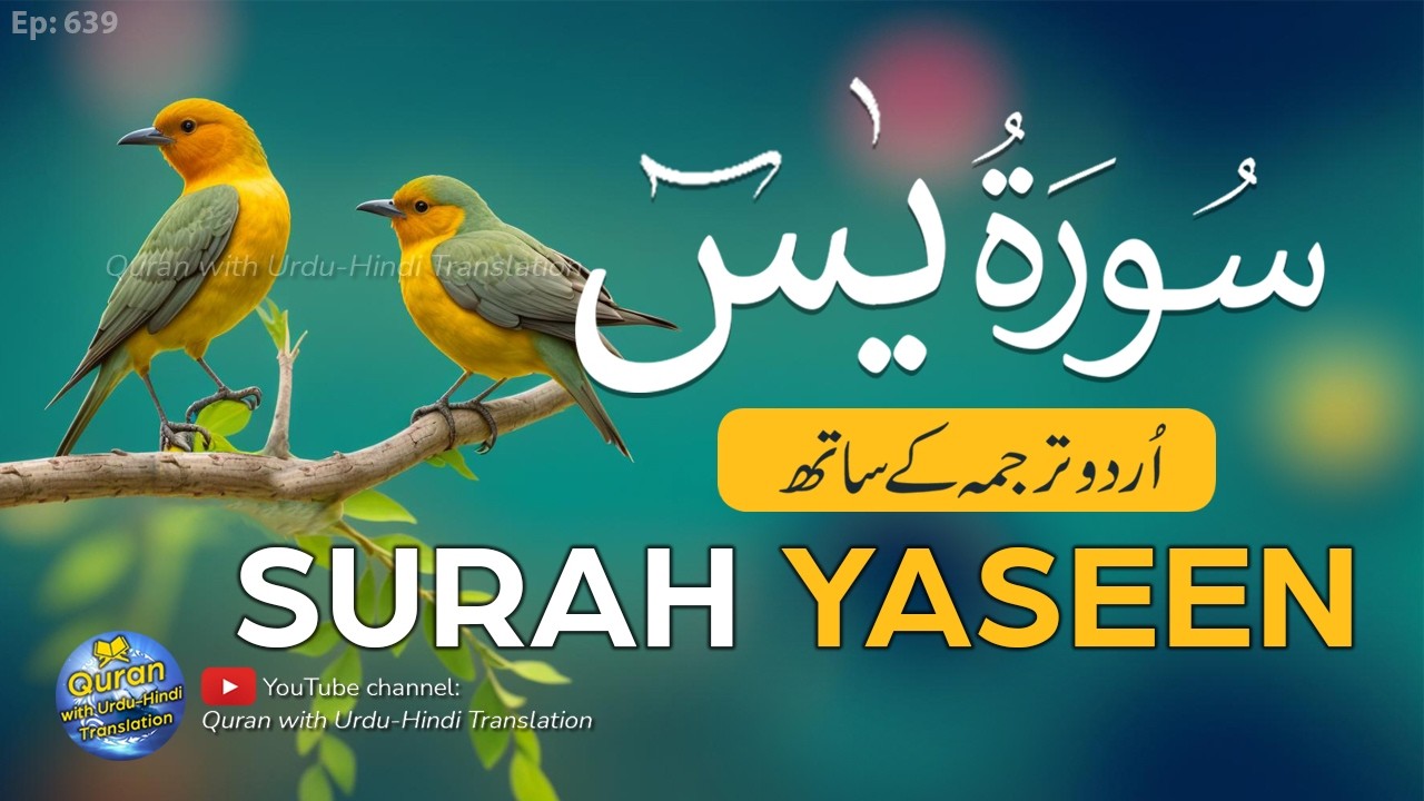 Surah Yaseen with Urdu Translation full | Yasin ki tilawat tarjuma ke sath | #surahyaseen | Ep 639