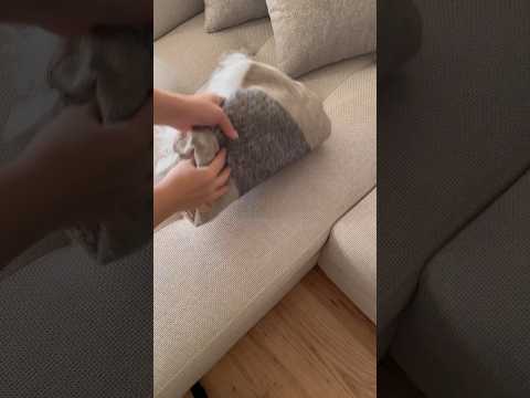فکر کنم بازم باید شال مبل بخرم  