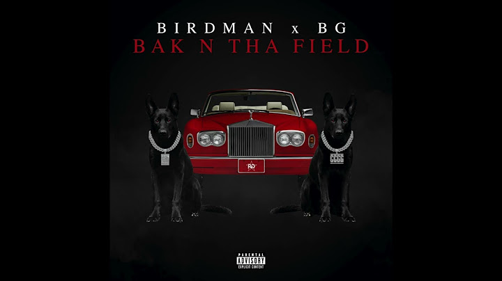 Birdman & B.G. - BAK N THA FIELD (AUDIO)