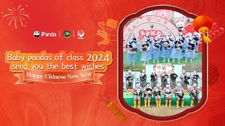团子们给大家拜年啦！2024级新生大熊猫组团贺新春送祝福
