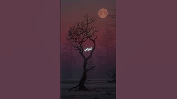 قران كريم بصوت جميل جدآ راحه نفسيه