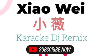 Video thumbnail of "Xiao Wei Karaoke 小薇 Dj Remix (黄品源-Huang Pin Yuan)"