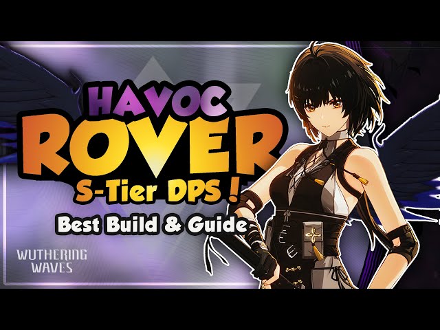 COMPLETE Havoc Rover Guide | Best Build, Weapons, Echoes u0026 Teams | Wuthering Waves class=