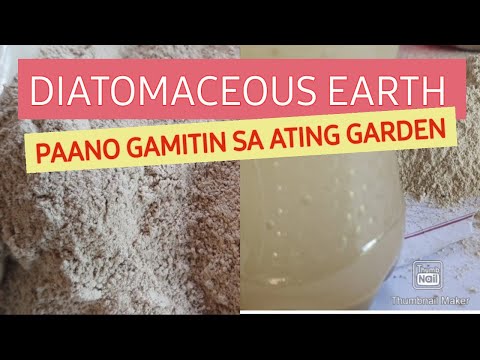 Video: Paano mo ilalagay ang diatomaceous earth sa iyong mukha?