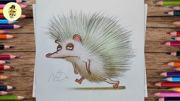 How To Draw a Hedgehog Step By Step with Colour Pencils | Pencil Colour Drawing Tutorial