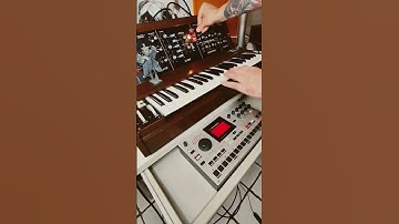 machine drum Filtered by the minimoog #techno #minimoog #machinedrum