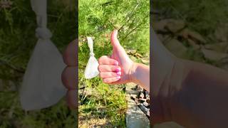 The Best Way to Get Rid of Flies — Fast and Easy!#LifeHack #mosquito #DIY #useful #tips #homehacks