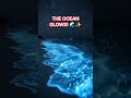 🌊 The Ocean Glows at Night! ✨ | Bioluminescent Waves in Maldives #Shorts