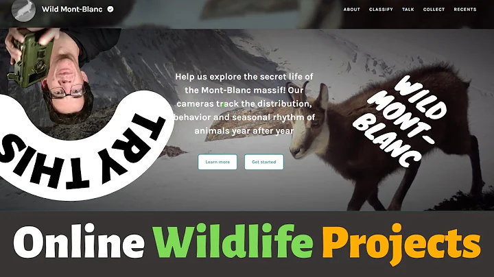 Let's work for wildlife: Wild Mont-Blanc ZOONIVERSE project - Online wildlife volunteering