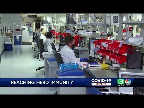 Video: Vai esam tuvāk ganāmpulka imunitātei?
