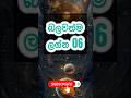 බලවත ම ලග න 06 Shorts Astrology Horoscope Mindset Fyp Viral ලග න