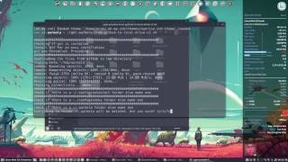 How to install the new Aureola Skeleton conky when you have Aureola already installed