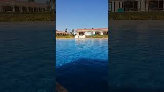 Какая погода в Египте в феврале? Отель Jolie Ville Golf &amp; Resort | #shorts | Atpalm