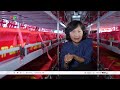 Thời sự toàn cảnh trưa 05/10: Khai mạc Hội nghị Trung ương 4 khóa XIV | VTV24
