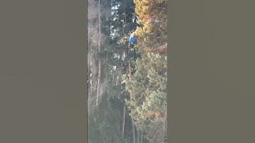 DIY Paramotor rescue by FPV Drone @schoeniFPV