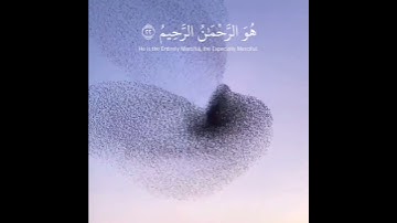 تلاوة رائعة تريح القلب بصوت🎙القارئ#احمد_النفيس 📖#سورة_الحشر مقاطع دينية قصيرة حالات واتساب 🤲🏻🌿