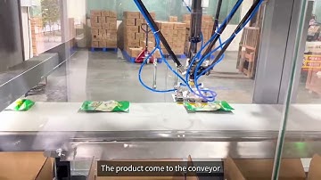 Automatic Case-Packing of Chinese Sauerkraut with AtomVision System by Delta(Spider) Robot