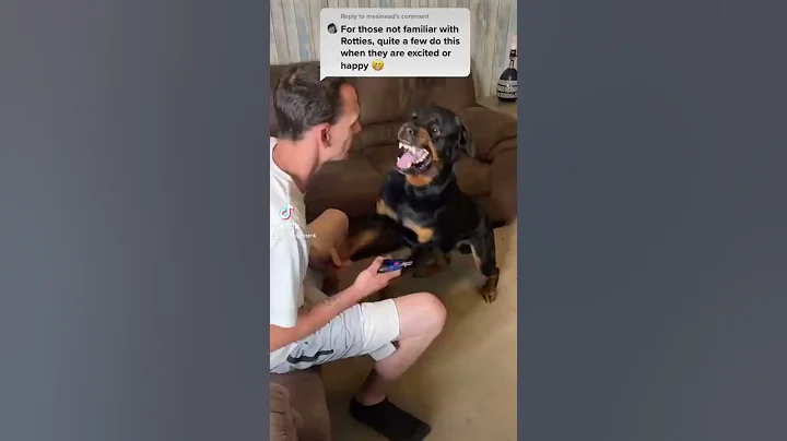 Rottweiler cries and attacks over nail clipping ⚠️ - DayDayNews
