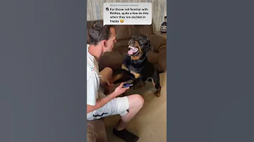 Rottweiler cries and attacks over nail clipping ⚠️