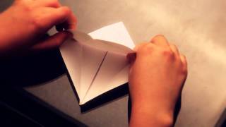Grulla Origami