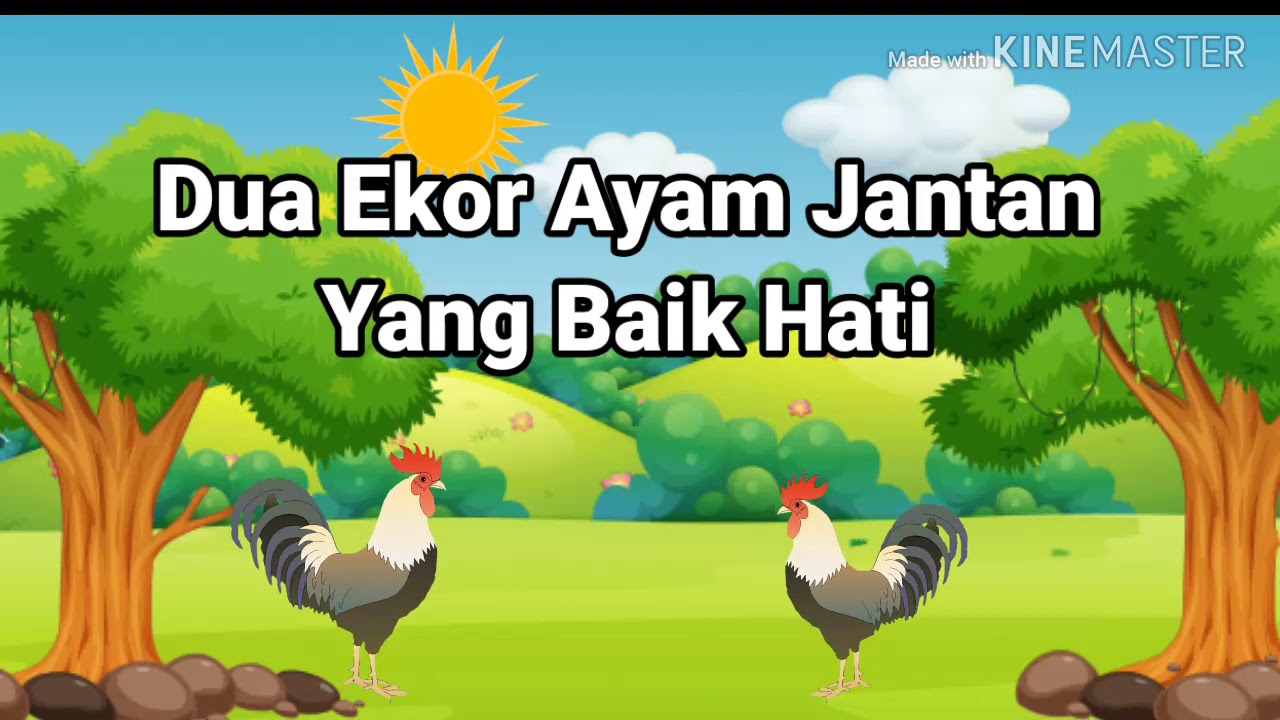 DONGENG HEWAN  UNTUK ANAK ANAK AYAM  JANTAN YANG  BAIK Part 