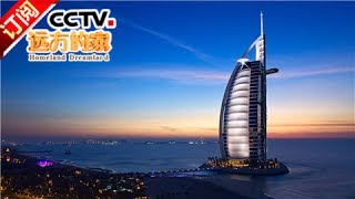 [Homeland Dreamland] 20170525 | CCTV-4