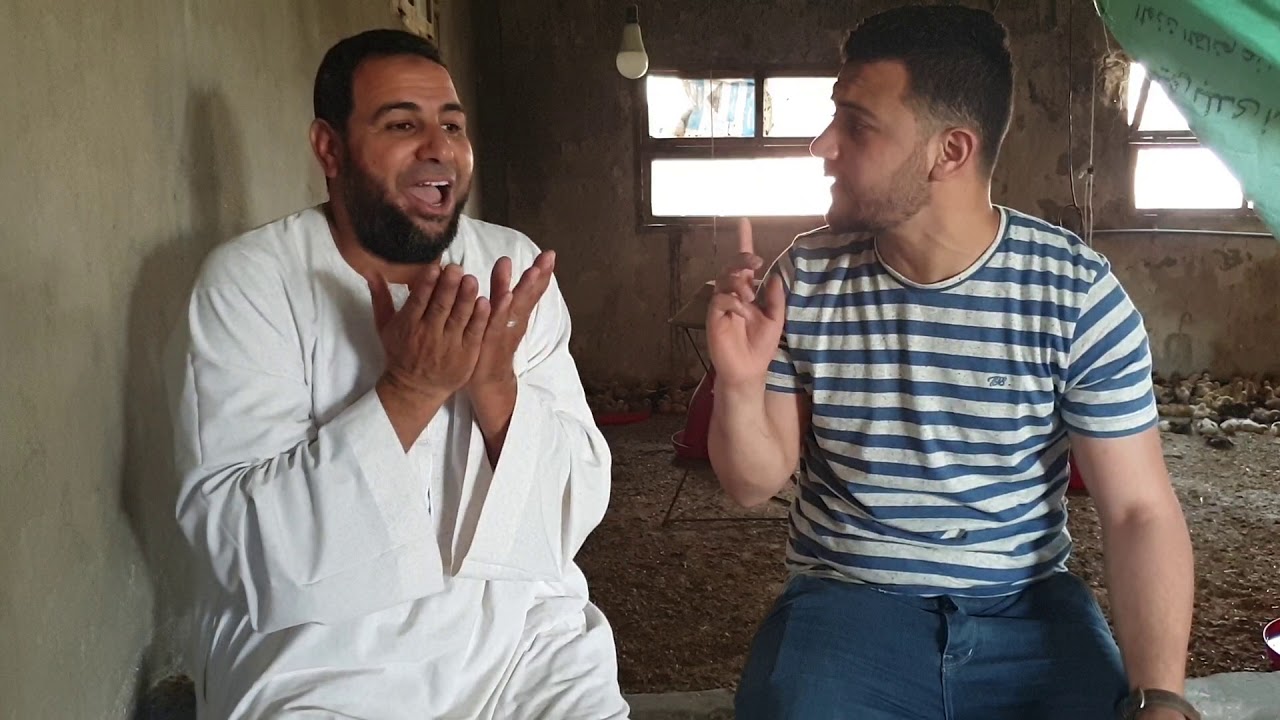 اورجانيك فراخ بلدي دمحمد فتحي سالم وشركه الفلاح بالفرافره ت01205053507