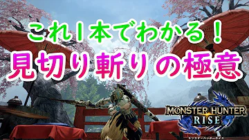 تحميل 見切り斬り 回避性能