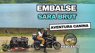 Viajar con tus PERROS EN MOTO si es posible, conociendo SARA BRUT