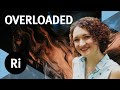 Overloaded: How Your Brain Chemicals Influence Your Life - with Ginny Smith