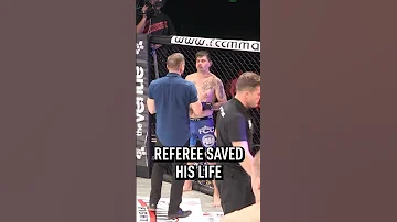 Two Punch Combo KO 
