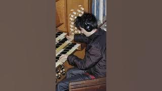 MUSE - Megalomania (Organ only)