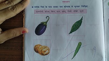 Hindi | Std--4 | Lecture-4 | Pathak school-Amreli
